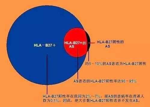 mhc与hla区别 mhc与hla区别及联系 